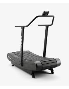 AssaultRunner Classic 2